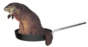 groundhog in saucepan